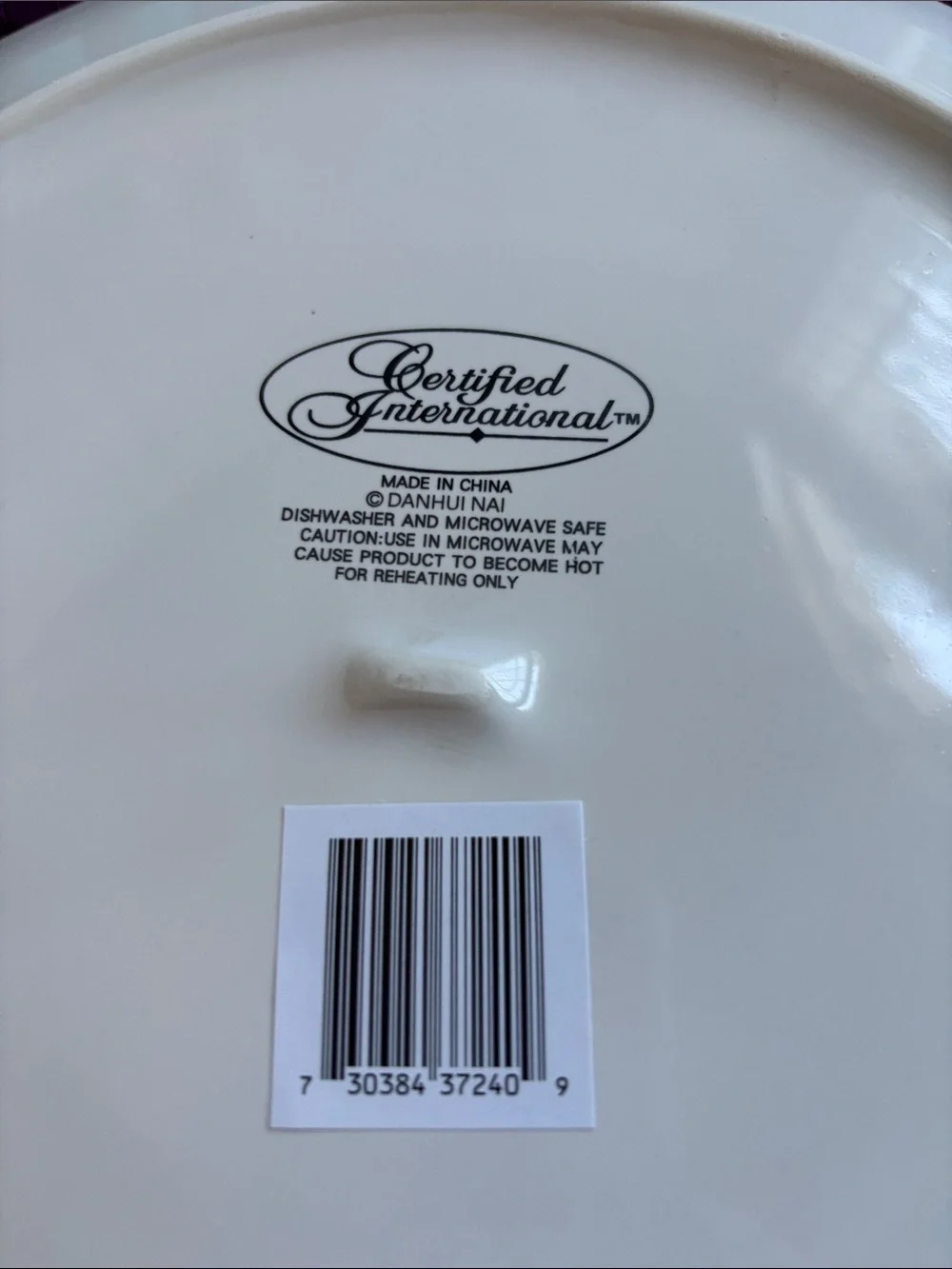 NWT Certified International “Autumn Harvest”Dinner Plates - Set of 2